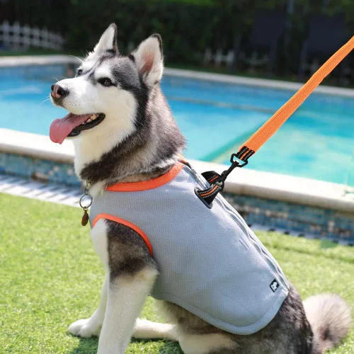 Vista 4 de JUXZH Chaleco de enfriamiento para perros, chaqueta de enfriamiento Verde
