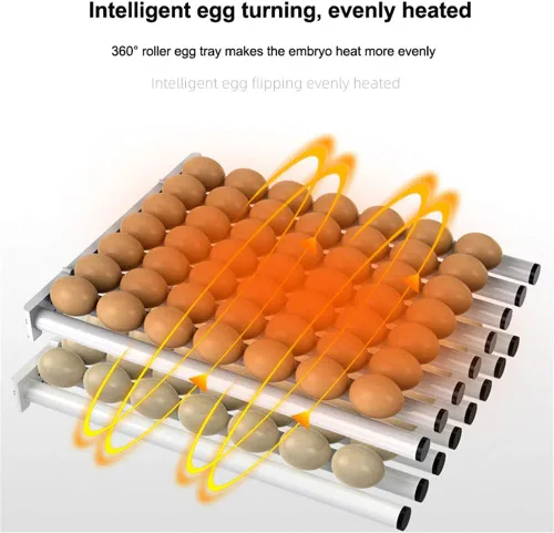 Vista 3 de Incubadora de huevos, incubadoras digitales totalmente automáticas, control automático de temperatura de torneado de huevos, pantalla LED