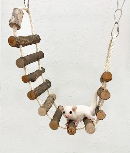 Vista 6 de Juego de mejoras de jaulas – Paquete interactivo de accesorios de jaula de ramas naturales para escalada interactiva – para planeadores de azúcar