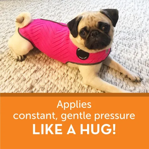 Vista 4 de Chaqueta de ansiedad deportiva para perro, Fucsia
