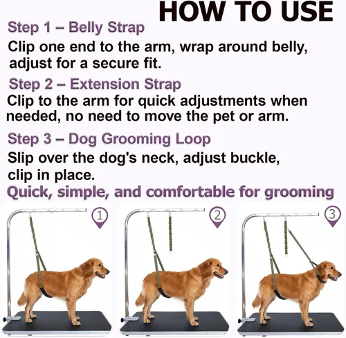 Vista 7 de Lazos de aseo para perros, correas para el vientre para mascotas, bandas para el vientre, color negro, herramientas de aseo cómodas y ajustables