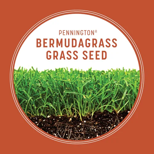 Vista 2 de Pennington Bermudagrass Semillas de césped del sur para césped, 5 libras