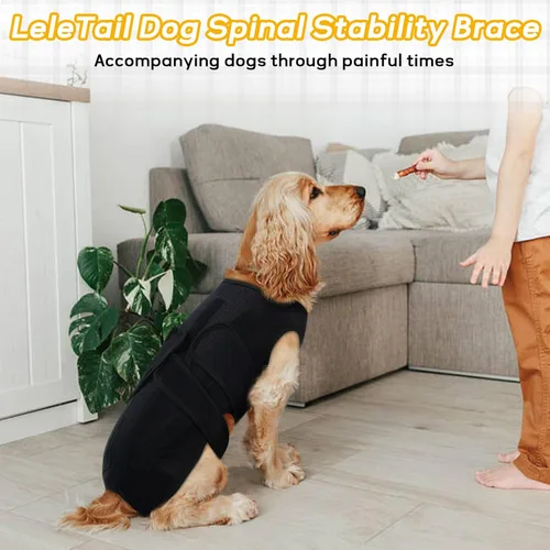 Vista 7 de Soporte de espalda para perros pequeños, soporte de estabilidad espinal, color negro, S Spinal Stability Brace with 5 Flexible Plastic Strips