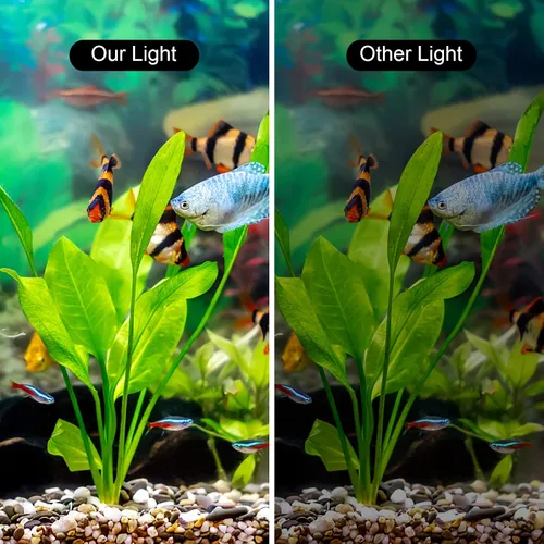 Vista 6 de WEAVERBIRD Doble cabeza acuario tanque de peces luz 15W 32 LED acuario plantado clip lámpara 1600LM iluminación LED blanca para 8-15 pulgadas tanque