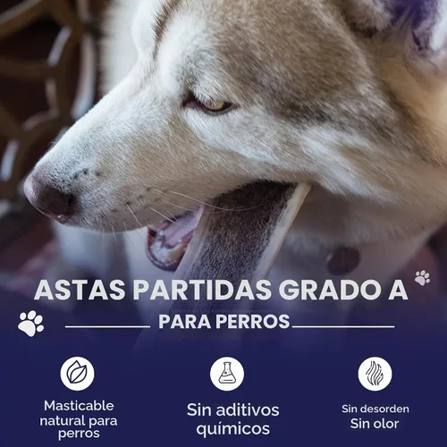Vista 2 de Devil Dog Pet Co. Cuernos de alce divididos para perros, masticables naturales para perros con médula expuesta, larga duración y sin olor