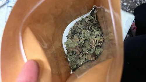 Vista 2 de 90 gramos (3 oz) Hojas secas de higo molido (triturado) Ficus Carica Herb Tea o Cocinar recién recogido y secado naturalmente por Tang Store