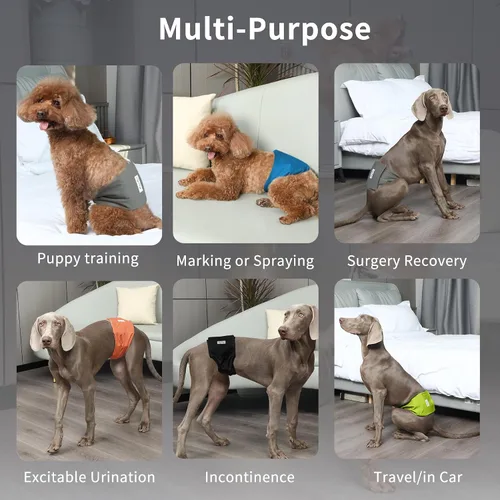 Vista 3 de JoyDaog - Pañales reutilizables para cachorros varones, paquete de 5, lavables, bandas reutilizables para el vientre, para perros