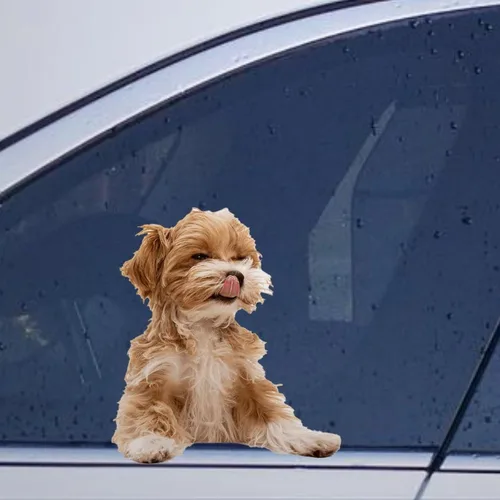 Vista 27 de Calcomanías de perro caniche, divertidas calcomanías de vinilo troqueladas para automóvil, laptop, parachoques Estilo-37