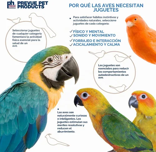 Vista 6 de Prevue Pet Products Juguete para llevar, juguetes para pájaros de forraje y participación, accesorios de jaula para loros, conures, cacatúas
