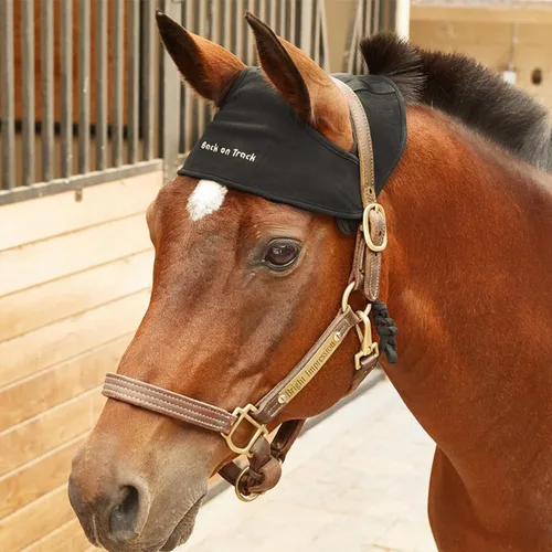 Vista 2 de Back on Track Equine Head Cap