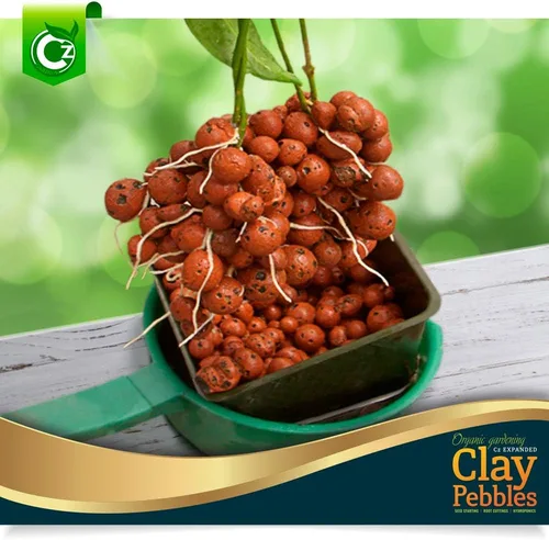 Vista 4 de Cz Garden – Medio de cultivo de piedras de arcilla expandida orgánica - orquídeas • hidroponía • acuapónica • acuicultura