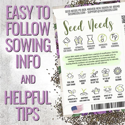 Vista 4 de Seed Needs Semillas de limón y menta para plantar hierbas anuales sin OMG, 1 paquete