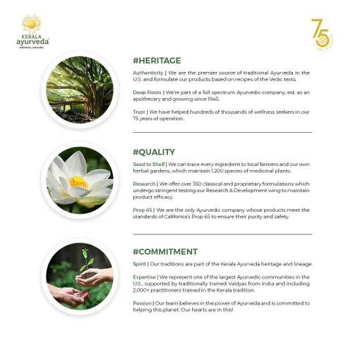 Vista 4 de Kerala Ayurveda Aceite de bienestar diario para niños (Lakshadi Thailam) – Aceite de masaje corporal diario para niños – Apoya la movilidad