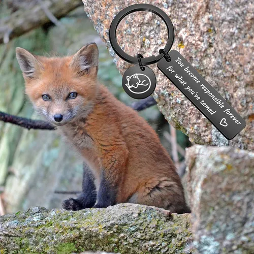 Vista 7 de WUSUANED El Principito y Fox llavero joyería que te conviertes en responsable para siempre de lo que has domado