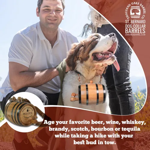 Vista 2 de St Bernard - Collar de barril de whisky para perro, 'M.U.T.T.' - Dispensador de barril de roble de 1/2 litro para perros San Bernardo con correa