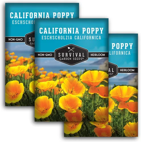 Vista 11 de Survival Garden Seeds - Semillas de amapola de California para plantar - 1 paquete con instrucciones para cultivar plantas Eschscholzia Californica