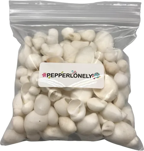 Vista 3 de PEPPERLONELY White Natica Caracol Sea Shells, 16 OZ Apprx.120+ PC Shells, 3/4 Inch ~ 1-1/4 Inch (#77794 Blanco)