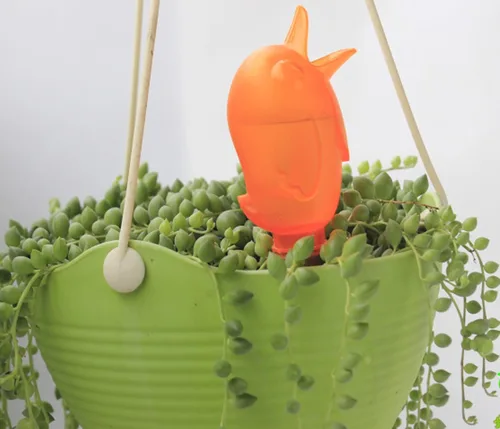 Vista 5 de Sistema automático de riego por goteo con forma de pájaros, paquete de 3 (color aleatorio)