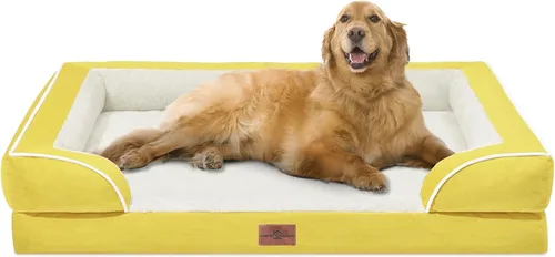 Vista 151 de Comfort Expression - Cama ortopédica para perros medianos, 28 x 19 pulgadas, cama impermeable y de apoyo de espuma con cojines removibles, sofá