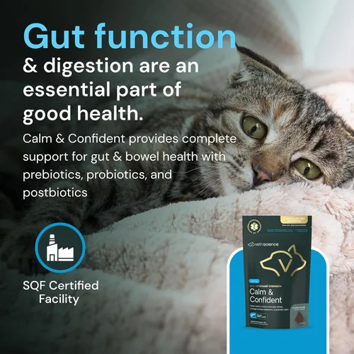 Vista 7 de VETRISCIENCE Max Veterinary Strength Calm & Confident Mastics, 45