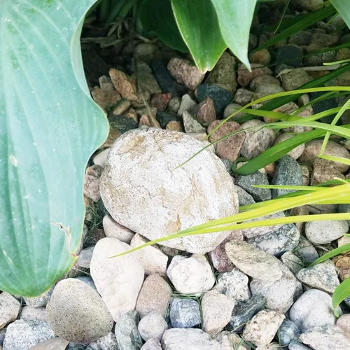 Vista 6 de Roca Falsa Ocultador de Llaves Decoración Caja de Seguridad para Jardín o Patio al Aire Libre Tamaño Grande Diseño Ocultar una Llave de Repuesto