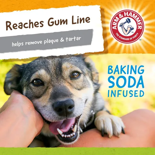 Vista 6 de Arm & Hammer for Pets Nubbies Duality Bone - Juguete dental para perros, el mejor juguete masticable para masticadores moderados, ayuda a reducir