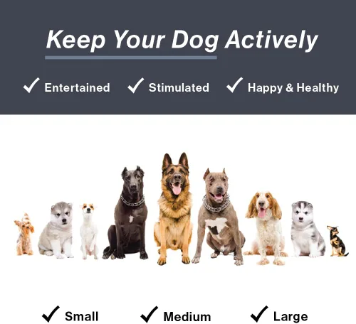 Vista 6 de HugSmart Pet - Foodie Japan Sushi Juguetes chirriantes de felpa suave para perros pequeños Juguetes para cachorros para dentición para perros