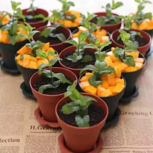 Vista 8 de Paquete de 50 vasos de postre en maceta de 6.1 fl oz de plástico de 6 onzas con tapa y cuchara, taza de degustación de aperitivos, adecuada