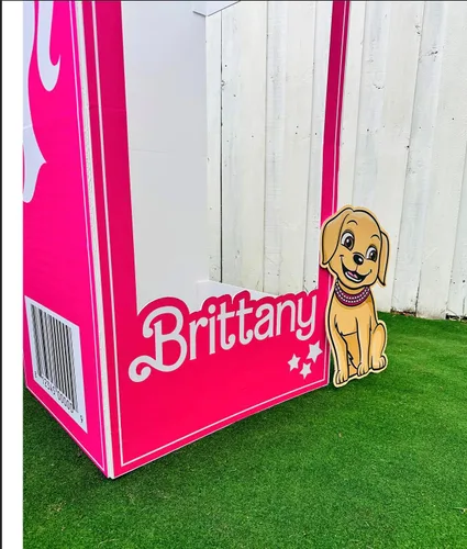 Vista 4 de 4 pies, 5 pies y 6 pies de alto, nombre personalizado, cortinas plateadas incluidas, caja de fotos de muñeca, muñeca rosa popular, fiesta