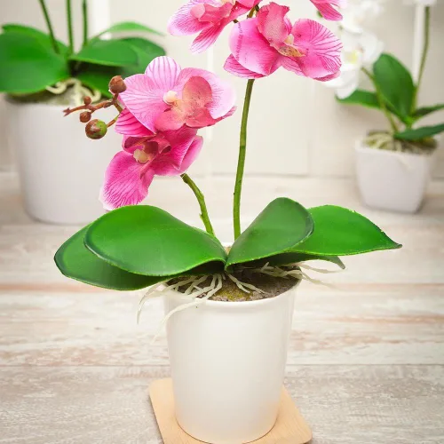 Vista 5 de Restaurantware Faux Fiore Violet Allium - Maceta blanca - Plantas de imitación - 14.6" - Caja de 1 unidad