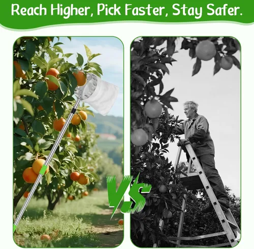 Vista 5 de BURMONG Herramienta recolectora de frutas de 6.6 pies con poste de acero inoxidable y cesta de tela suave, cosechadora ligera de frutas