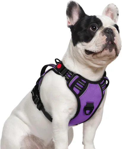 Vista 18 de rabbitgoo Arnés para perro de tamaño pequeño, arnés para mascotas sin tirones con mango acolchado suave, chaleco reflectante ajustable con 3