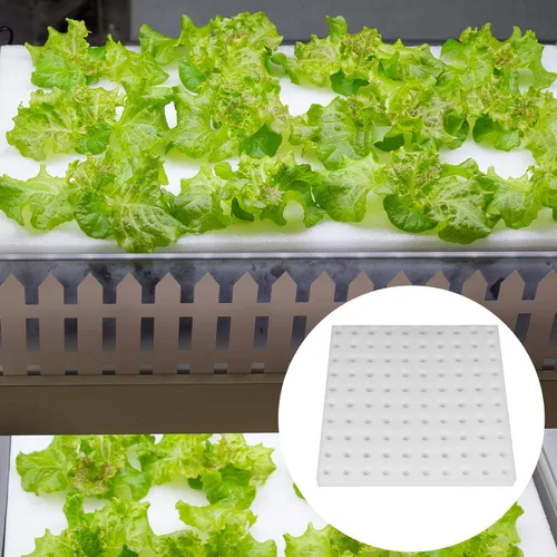 Vista 7 de Paquete de 200 esponjas hidropónicas para plantar, esponjas cuadradas de plántulas, esponja hidropónica para invernadero, esponja hidropónica