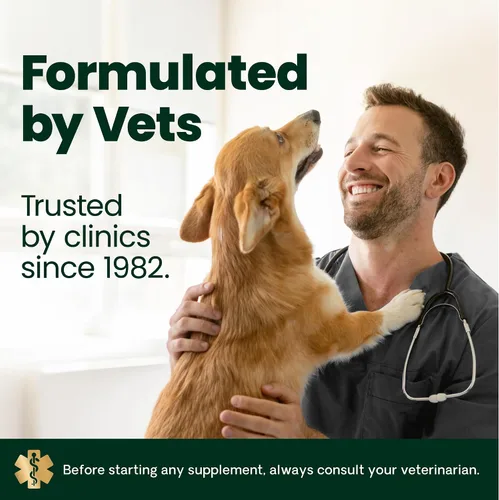 Vista 9 de VetriScience Masticables saludables para piel y pelaje, suplemento de aceite de salmón Omega-3 Derma Strength para perros, masticables Omega