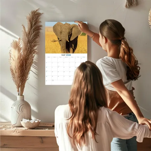 Vista 457 de Calendario de grises africanos 2025 2026 – Planificador mensual de pared de aves africanas – 12 x 18 pulgadas (abierto), calendario de pared