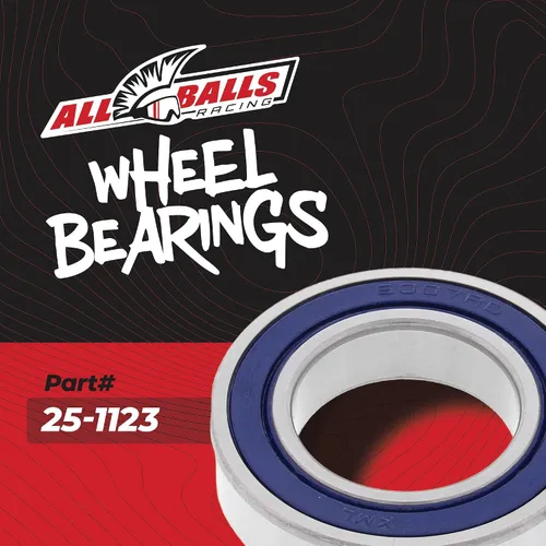Vista 2 de All Balls Kit de rodamientos de rueda [Plata Media] (25-1123)