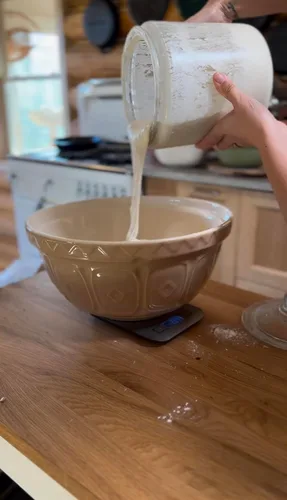 Vista 2 de Iniciador de masa madre orgánica "June" – Iniciador activo de masa madre deshidratada para hacer pan – Cultura patrimonial criada en granja de 5