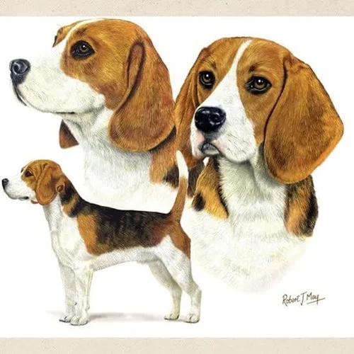 Vista 2 de CafePress Beagle - Bolso de mano múltiple de lona natural bolsa de compras reutilizable