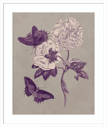 Vista 17 de Amanti Art Lienzo decorativo para pared, 24 x 20 pulgadas, estudio de la naturaleza en ciruela y gris pardo IV por Maria Merian, arte de pared
