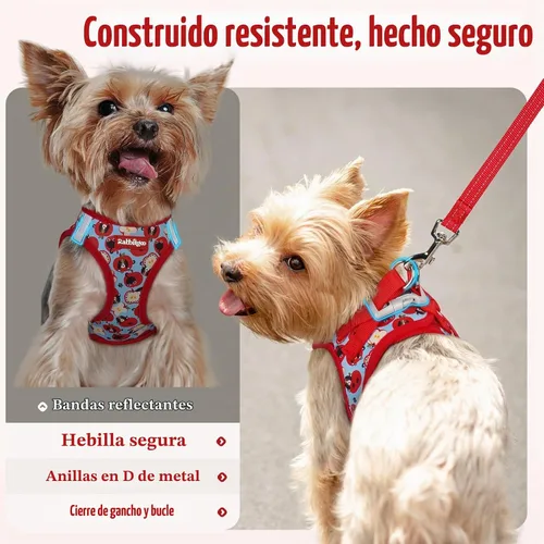 Vista 8 de rabbitgoo Arnés para perro de tamaño pequeño y juego de correa, chaleco Cachorros de manzana