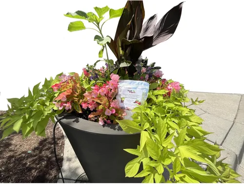 Vista 4 de Cristales de almacenamiento de agua (1 libra) – Hidrogel de polímero súper absorbente para jardines, césped y plantas en maceta, reduce el riego