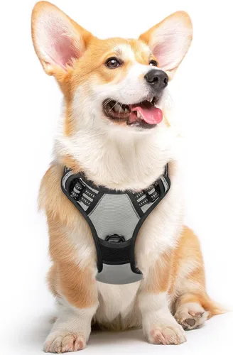 Vista 33 de Eagloo Arnés para perro pequeño, sin tirones, chaleco de servicio con tiras reflectantes y asa de control, ajustable y cómodo para caminar, arnés