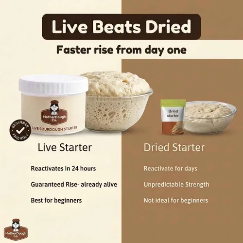 Vista 6 de Motherdough Co. - Iniciador de masa madre - Cultivo iniciador de masa agria antigua y madura viva, fresca y activa, el mejor iniciador de pan