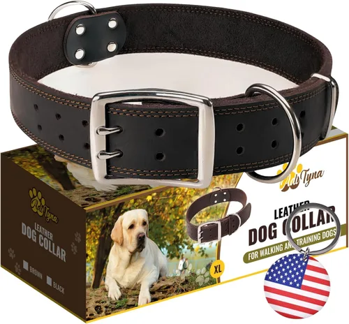 Vista 13 de Collar de perro de cuero negro resistente, collar de perro suave y fuerte para cachorros o razas pequeñas