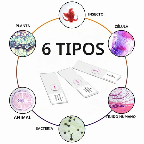 Vista 3 de 100 muestras preparadas de diapositivas del microscopio, ciencias