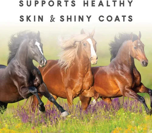Vista 4 de Sho-Glo Horse Suplemento vitamínico y mineral – Manna Pro – Suplemento equino diario completo para piel sana, pelaje y pezones – Fortificado