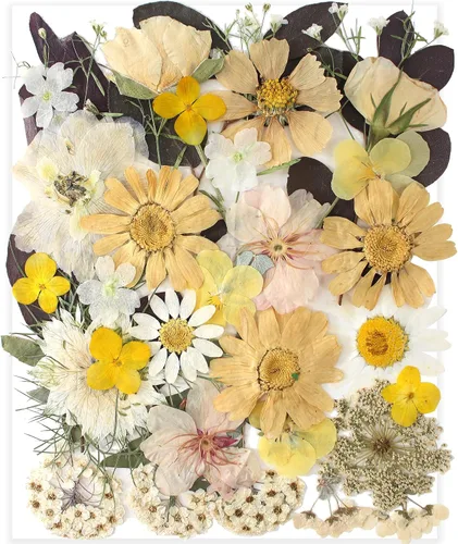 Vista 11 de 14 Tipos 37 piezas Flores Azules Secas Prensadas para Moldes de Resina, YouthBro Flores Secas Naturales Prensadas para Manualidades de Arte DIY