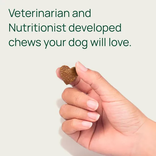 Vista 5 de pawTree Suplemento de apoyo articular y cadera para perros y gatos con glucosamina, condroitina, MSM, mejillones tuméricos y de labios verdes