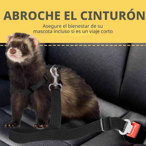 Vista 3 de SunGrow Cinturón de seguridad para perro para automóvil, cinturón de seguridad ajustable de nailon para mascotas, compatible con todos