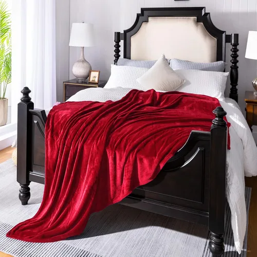 Vista 26 de JIAHANNHA Manta de forro polar de franela (50 x 60 pulgadas), manta beige para sofá o cama, 280 GSM, manta de felpa súper suave, acogedora y ligera